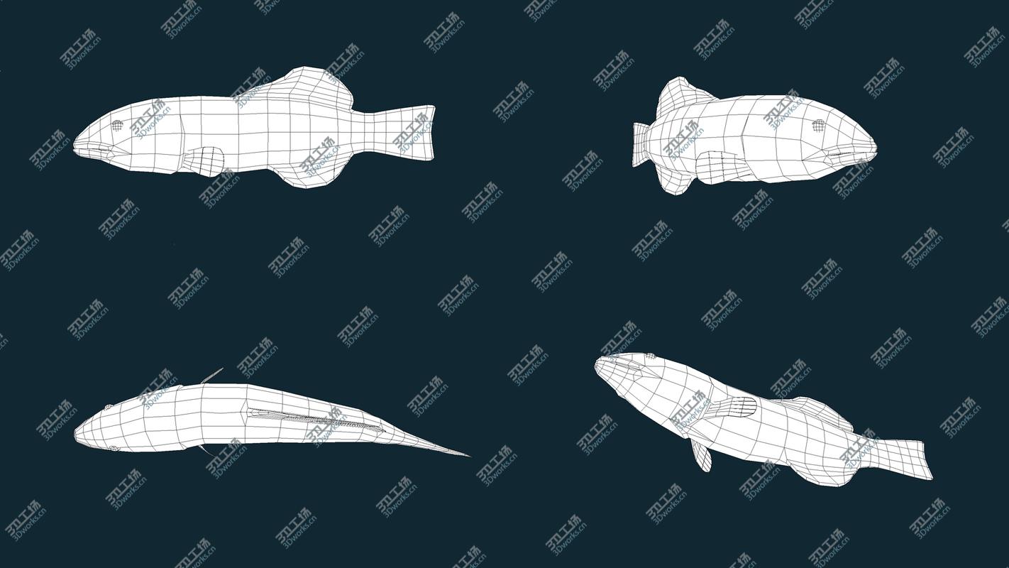 images/goods_img/2021040235/3D Low poly Fish Collection Animated - Game Ready Pack 2/5.jpg